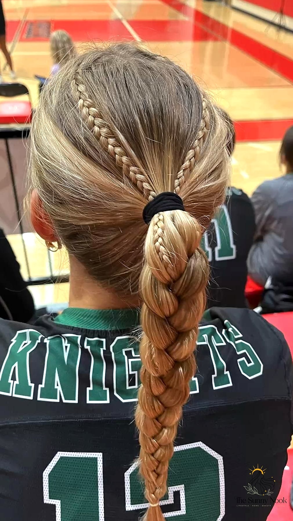 Braided Ponytail Combo