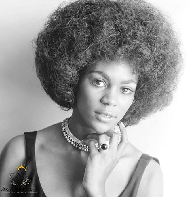 Curly Afro-Textured Layers