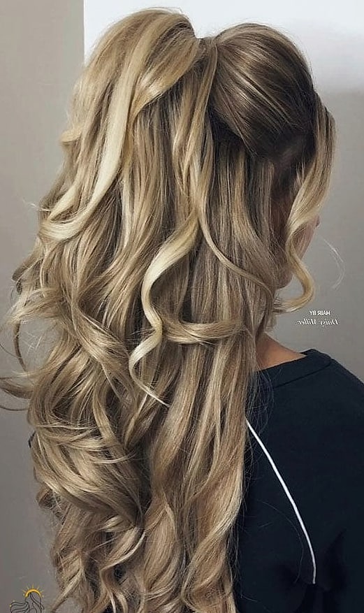 16 Curly Hair Prom Hairstyles That Belong on Your Inspiration Board 3 Curly High Ponytail