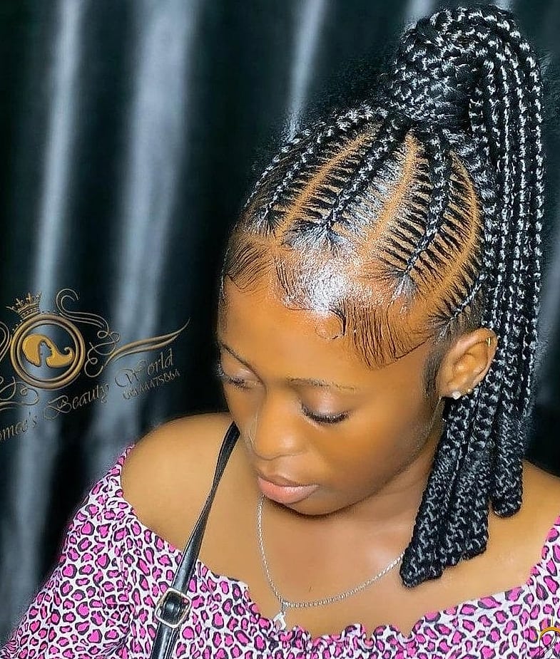 Sleek Braided Ponytail