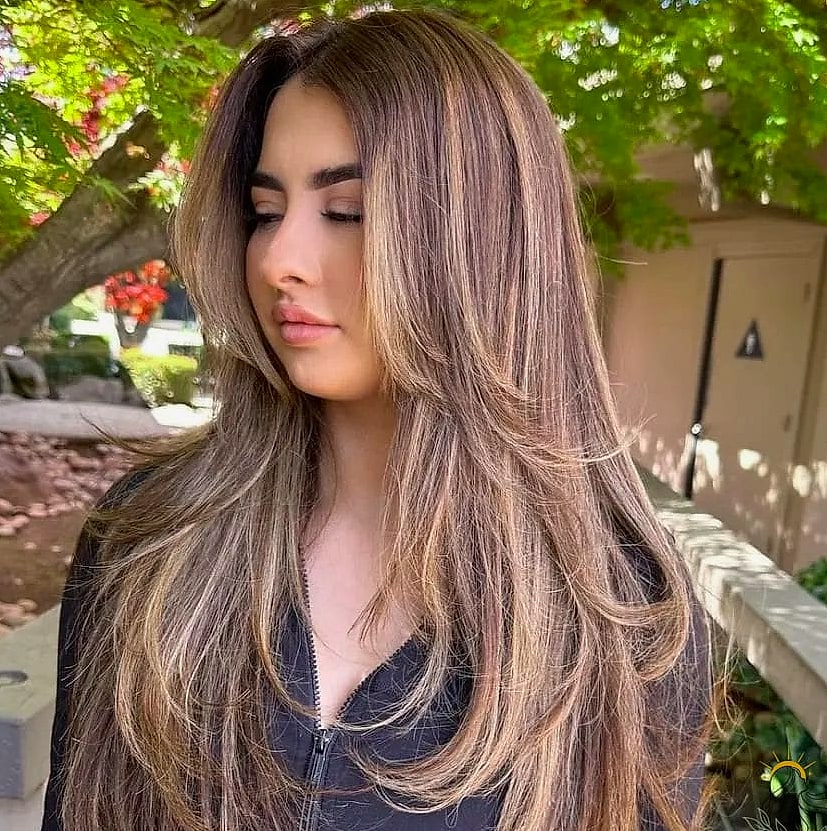 12 Straight Hairstyles For Long Hair to Transform Your Look Instantly 2 Sleek Straight Hair with Face-Framing Layers