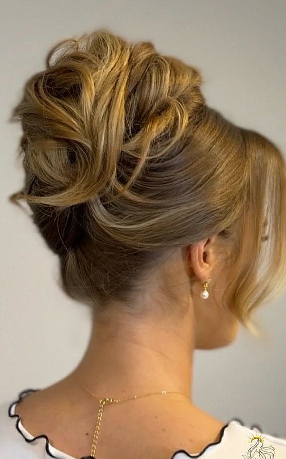 Twisted High Bun with Those Gorgeous Defined Sections