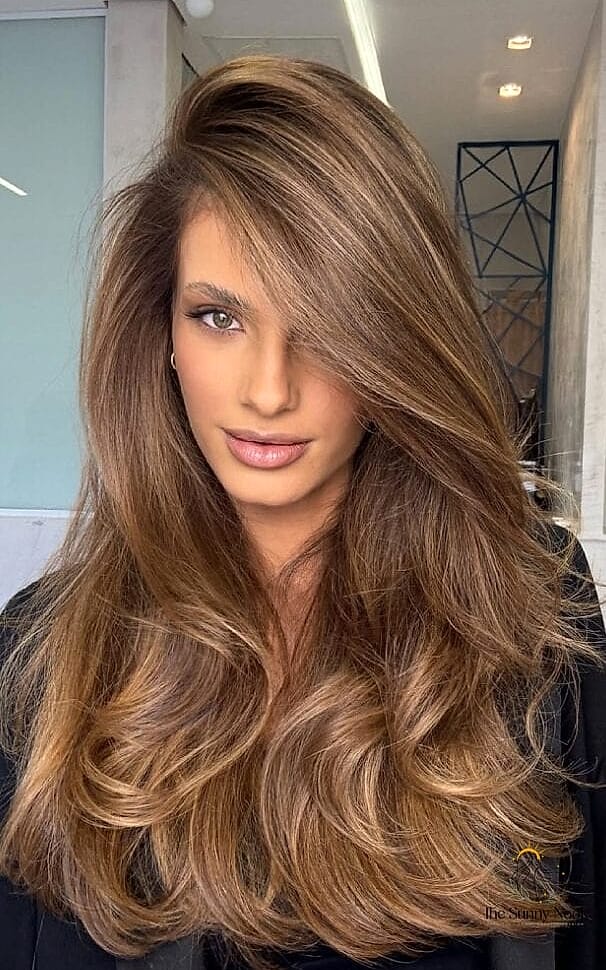 Chestnut Brown Voluminous Blowout