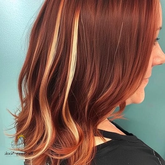 Chestnut Brown with Peekaboo Highlights
