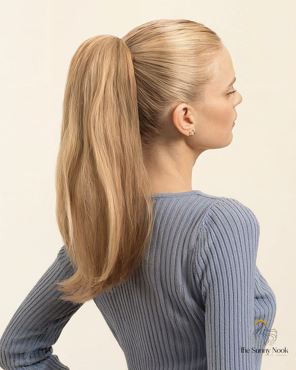 Claw Clip Braided Ponytail Combo