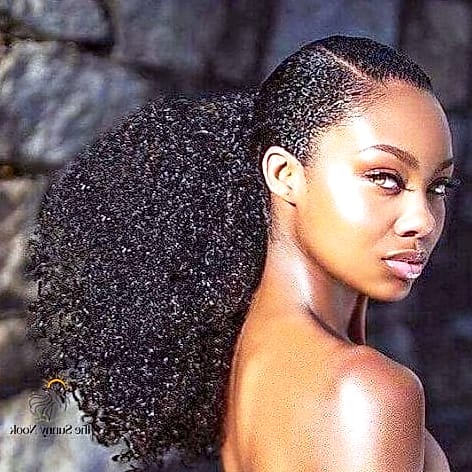 17 Gorgeous Short Ponytail Hairstyles Black Women for Every Hair Type 9 The Curly Afro Pony