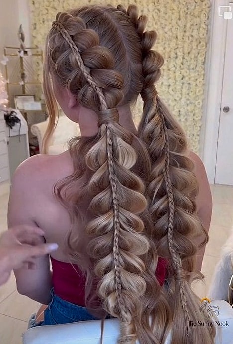 The Double Braided Pigtails