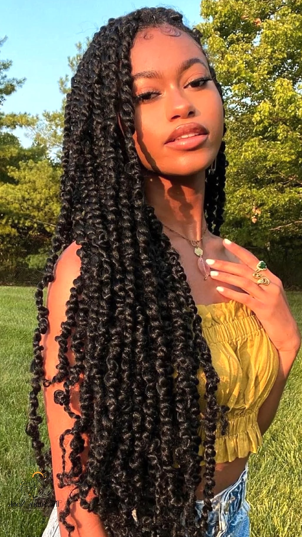27 Easy Hairstyles Black Women Perfect for Your Next Salon Appointment 11 Passion Twists