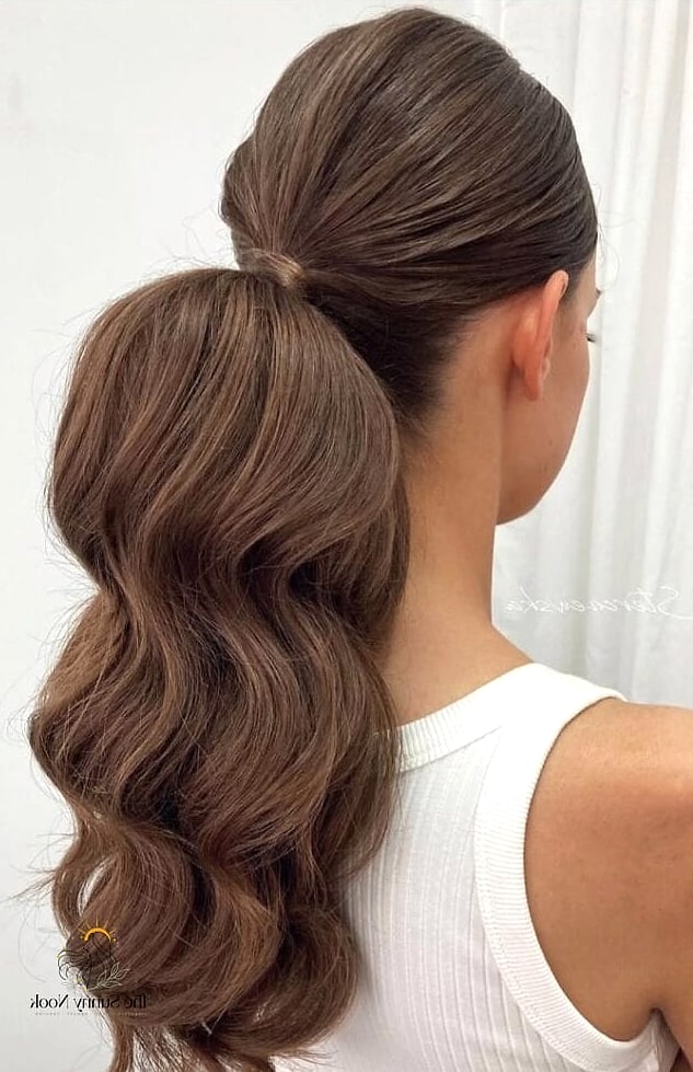 Sleek Low Ponytail